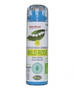 Eglantier - Wild Rose (n°37) SANS ALCOOL BIO, 130 granules
